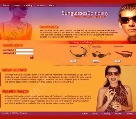 太阳镜企业网站模板