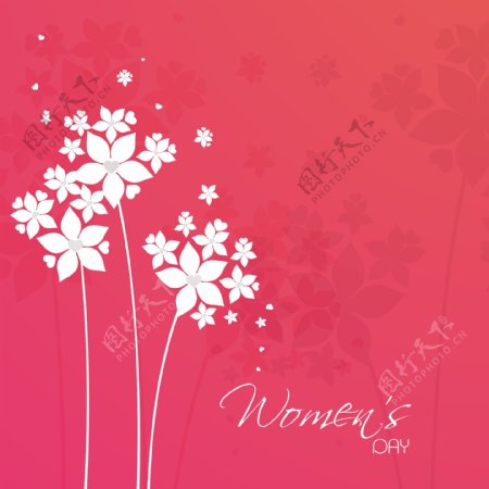 三八妇女节贺卡或海报上粉红色背景花艺设计