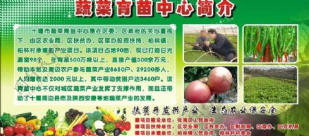 十堰市蔬菜育苗中心简介图片