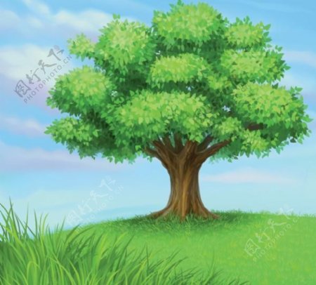 一棵大树矢量素材图片