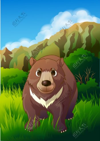 可爱动物绿色大棕熊图片