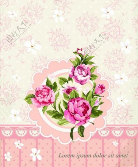 玫瑰花卡片背景图片