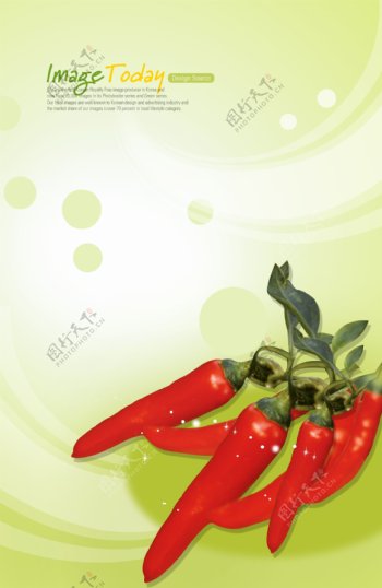 水果瓜果蔬菜青菜食品韩国花纹图库2psd分层素材源文件