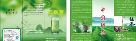 绿茶三折页图片