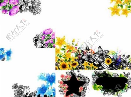 鲜艳花朵装饰背景矢量图AI