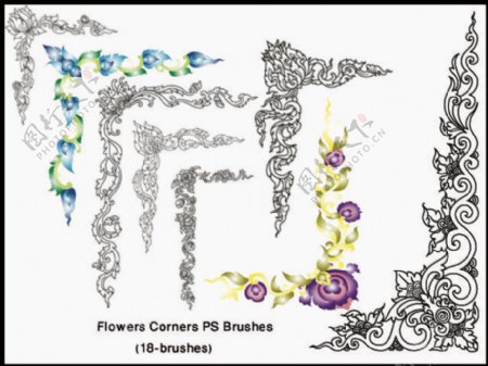 新款高清晰花朵花边花纹ps装饰笔刷合集图片