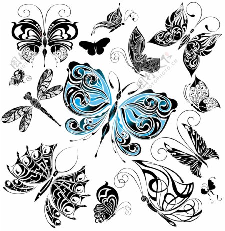 精美的手工绘制的矢量蝴蝶
