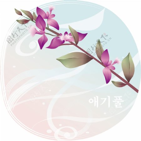 韩国素材紫色小花