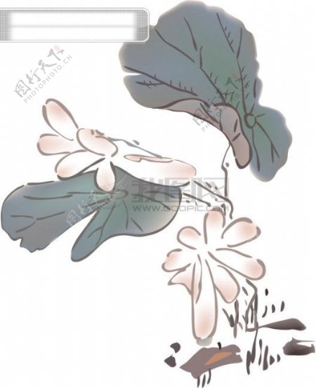 AI矢量图多款植物花黑白矢量花纹边框鸟类蝴蝶花朵树叶水墨荷花