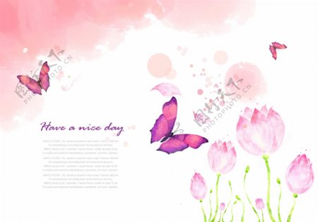 粉色莲花和蝴蝶