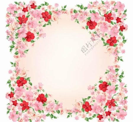 漂亮粉色花朵相框图片