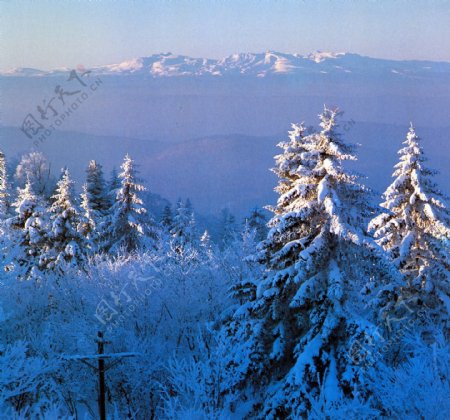 中国吉林冬天雪景景观景色风景风情人文旅游民风民俗广告素材大辞典