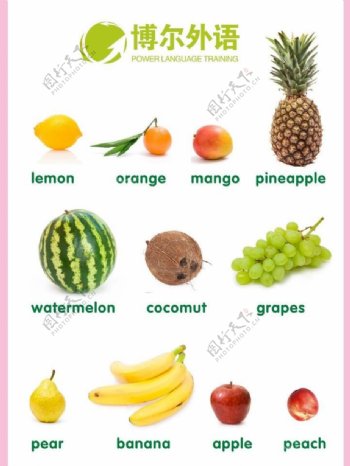 英语培训水果单词图片