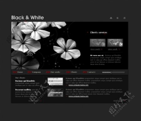 网页模板黑色典雅素雅花朵斜纹图片