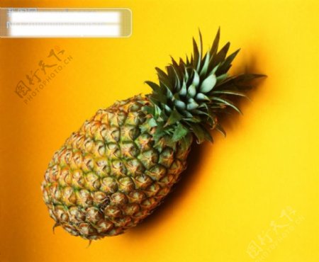 夏天最受欢迎的水果菠萝