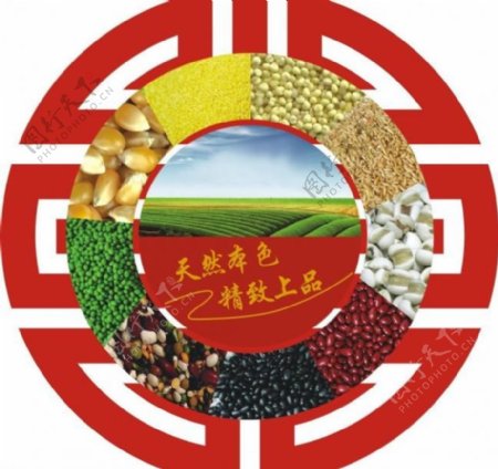 五谷杂粮标志图片