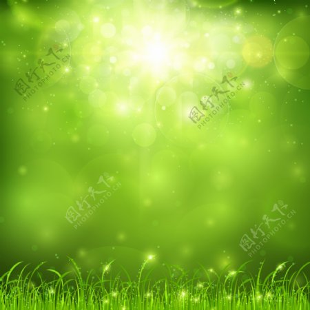 梦幻绿色草地背景矢量素材太阳光线