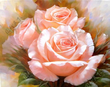 位图植物花卉优雅植物玫瑰花免费素材