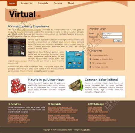 虚拟网站CSS模板