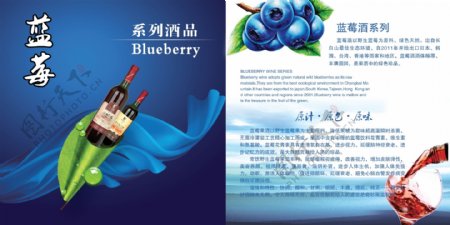 蓝莓果酒