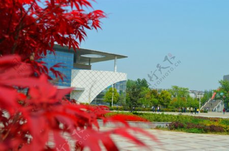安徽科技学院风景图片