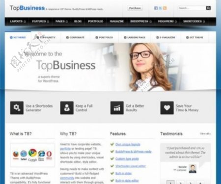 topbusinessWordPress的wp网站