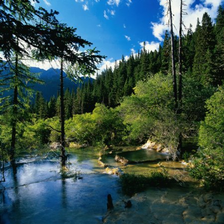 树山风景水