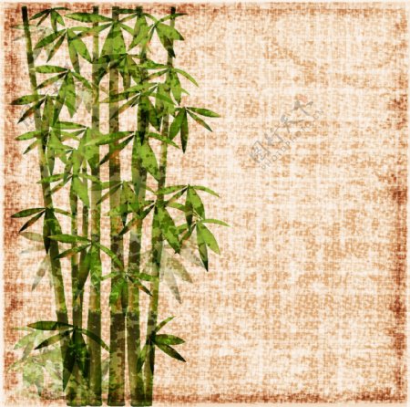 斑驳竹子图片