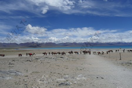 西藏风景图片