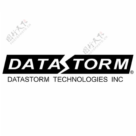 datastorm技术公司