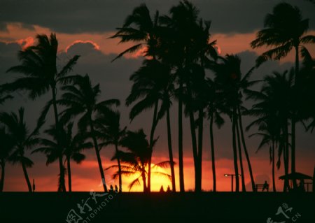 夕阳晚霞海岛风情旅游观光风情海边椰树海浪异国风情