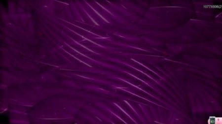 紫色梦幻光线高清视频素材下载