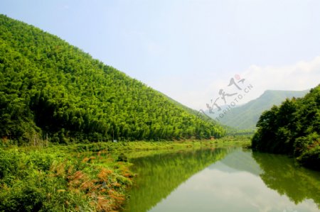 竹海公园图片