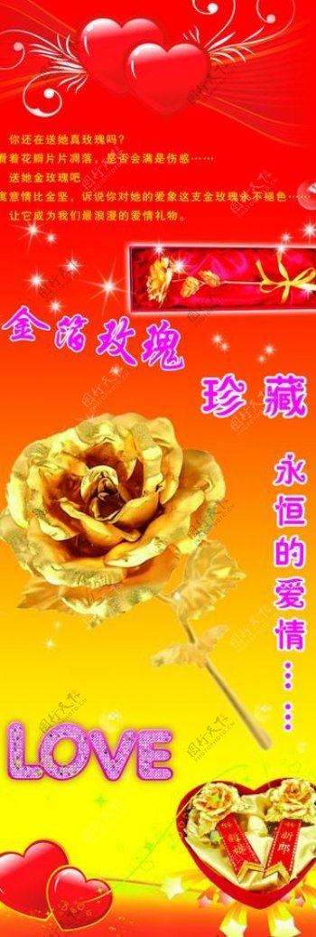 金箔玫瑰图片