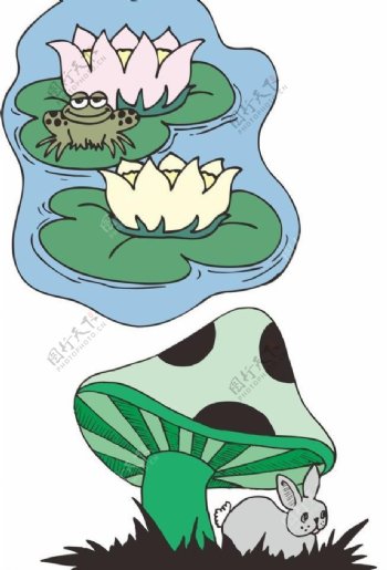 青蛙动物插画图片