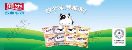 菊乐牛奶宣传画图片