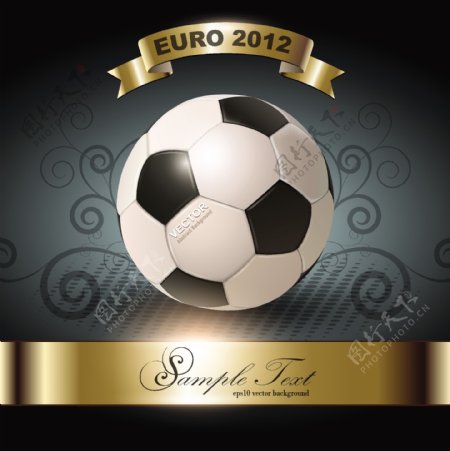 2012欧洲杯足球背景图片