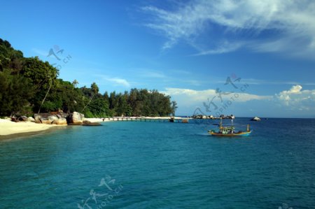 海洋沙滩椰子游船图片