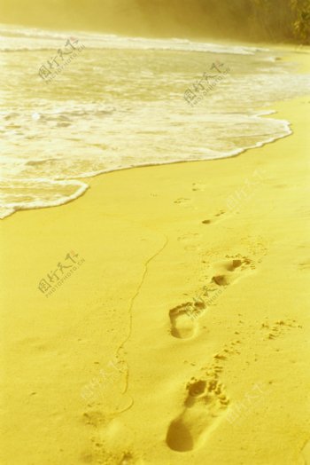 黄金沙滩图片