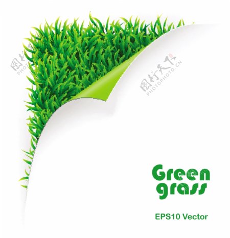 创造性的绿色草地背景文本模板矢量素材02