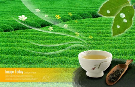 高清PSD分层素材中国绿茶