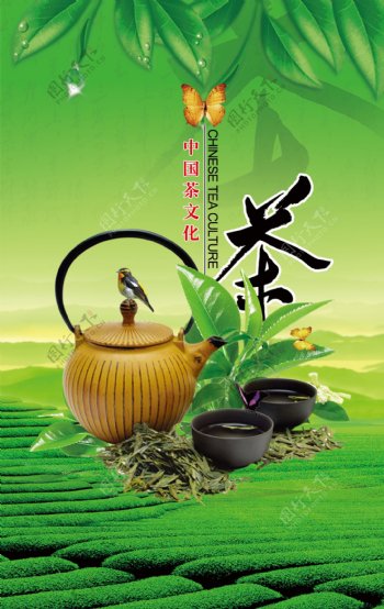 中国茶文化彩页图片