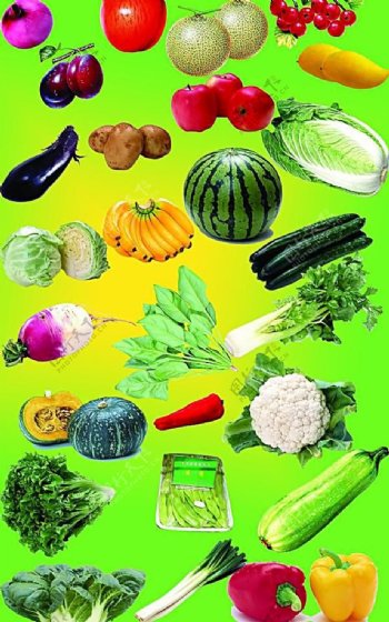 水果蔬菜类图片