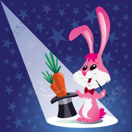 兔子魔术师