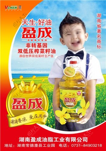 高清菜籽油广告设计素材