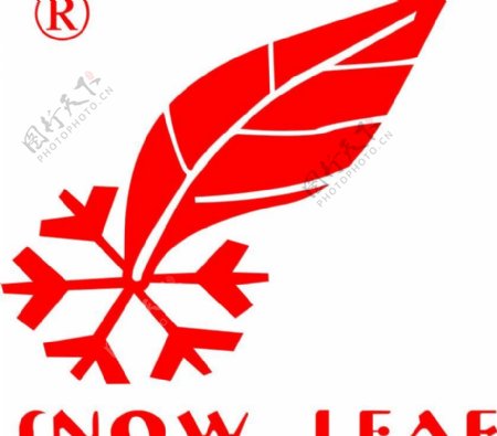 广州雪中飞logo图片