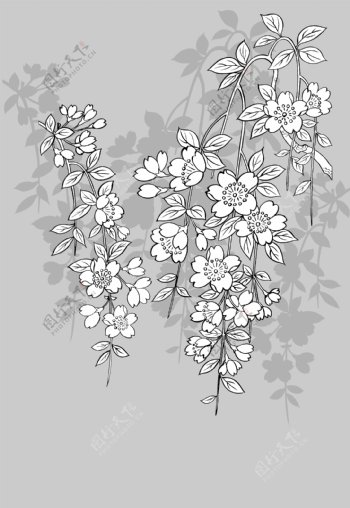 日本线描植物花卉矢量素材43樱花