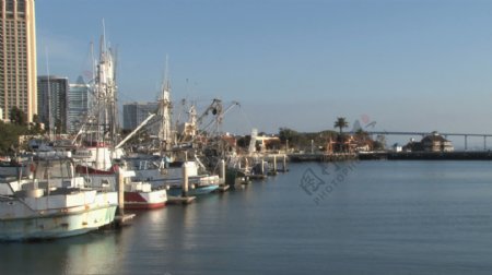 在滨海的海鸥圣迭戈股票视频船视频免费下载