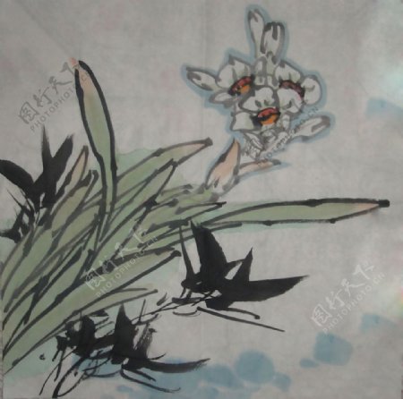 位图植物图案写意花卉花朵动物免费素材