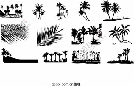 椰树剪影元素矢量素材图片
